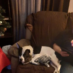 Meet your Posher, Tammy
